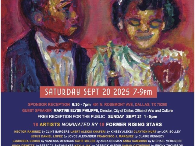 OCSFA Presents Rising Stars Public Exhibition