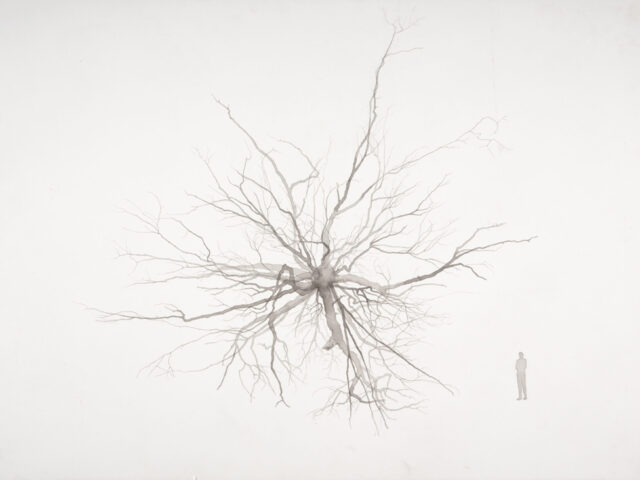 Roxy Paine: Overgrown Neuron