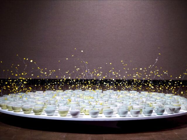 Du Chau – Tracing the Threads of Memory