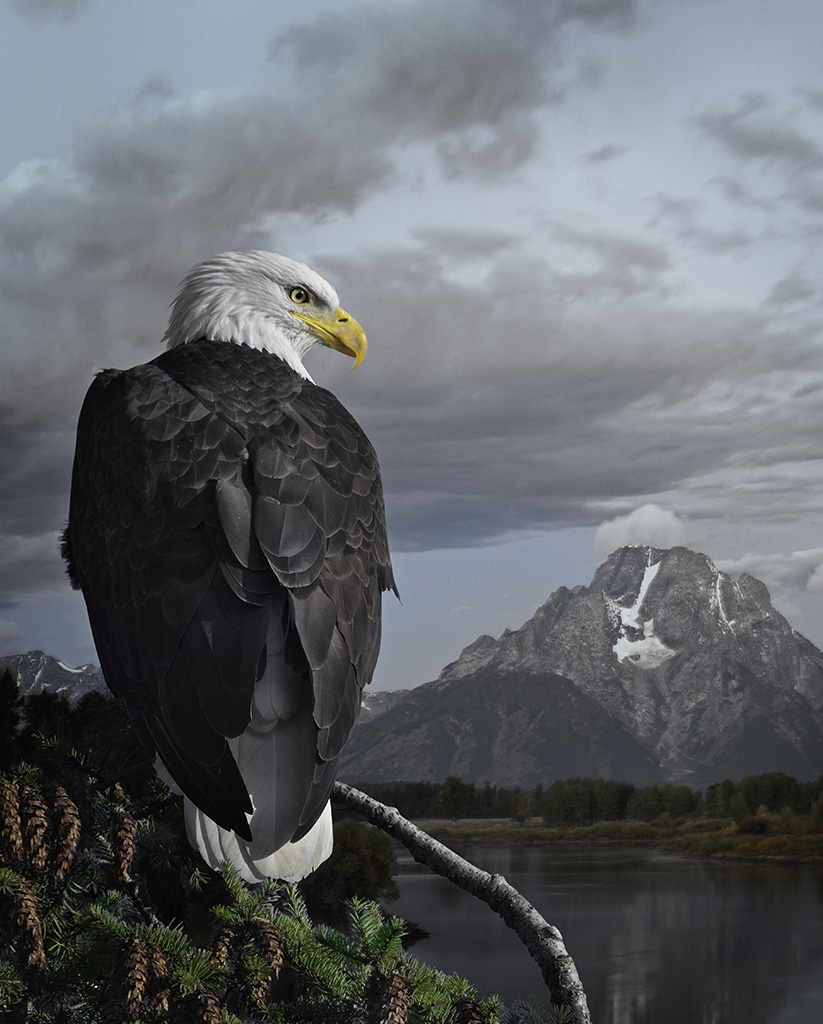 Opening Reception: From Sea to Shining Sea