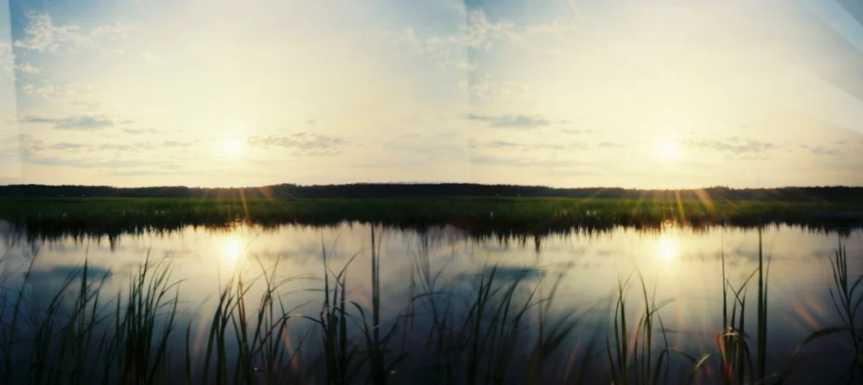 While We Are Here…